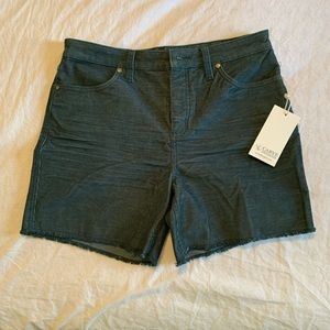 Carve Designs Oahu 6” Hi Rise Short